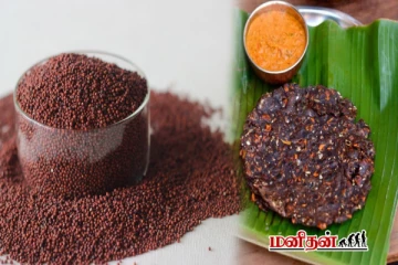 ஒரேமாதத்தில் உடல் எடையை குறைக்க - இந்த சோயா ராகி அடை செய்து சாப்பிடுங்க