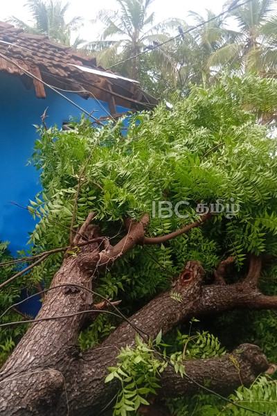 யாழில் பதிவான மோசமான வானிலை: 12 பேருக்கு பாதிப்பு! | 12 People Affected By Heavy Rains In Jaffna