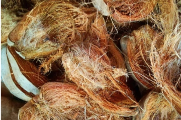 தேங்காய் நாரை வைத்து இவ்வளவு சம்பாதிக்கலாமா? இனி மறந்தும் கூட குப்பையில் வீசாதீர்கள்