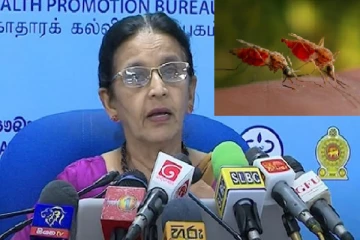 வடக்கில் புதிய வகை நுளம்பு! பொது மக்களுக்கு விடுக்கப்பட்டுள்ள எச்சரிக்கை