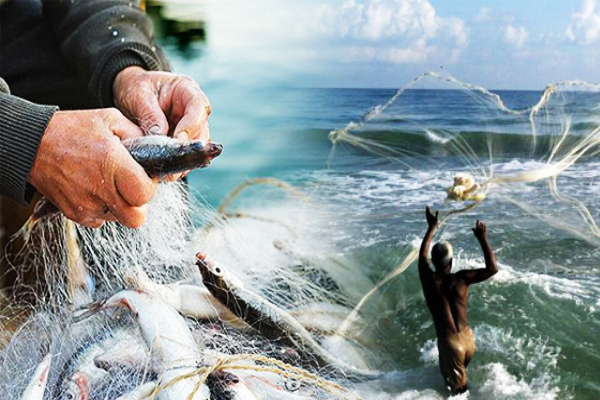 மீன்பிடிக்கச் சென்றவர் முதலைக்கு இரையான சோகம்! - ஐபிசி தமிழ்