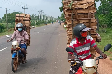 வவுனியாவில் சமையல் எரிவாயு சிலிண்டர் தட்டுப்பாடு - விறகுக்கு மாறும் மக்கள்
