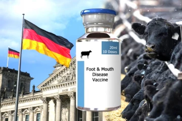 ஜேர்மனியில் கால்நடை நோய்கள் பரவாமல் தடுக்க நடவடிக்கைகள் தீவிரம்