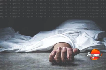 කරපිංචා කඩමින් සිටියදී විදුලිසැර වැදී මව සහ දියණිය මරුට