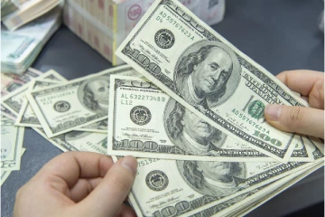 இலங்கையை மீட்க புலம்பெயர் தமிழர்களும் டொலர்களுமே தேவை! வெளியிடப்பட்டுள்ள தகவல்