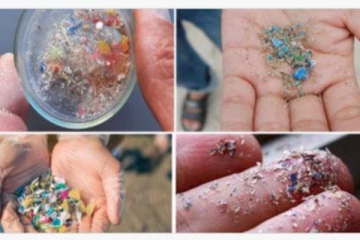மனிதனின் உயிரணுக்களைக் குறிவைக்கும் மைக்ரோ பிளாஸ்டிக் துகள்கள் - ஆய்வில் வெளிவந்த அதிர்ச்சி தகவல்