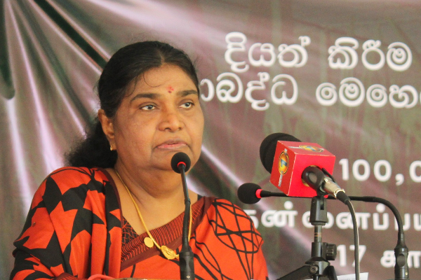 விவசாயத்தை விஸ்தரிக்கும் வகையில் அறிமுகமாகிறது புதிய செயலி : வடக்கு ஆளுநர் உறுதி! | Coconut Triangle Zone Starts At Nothern