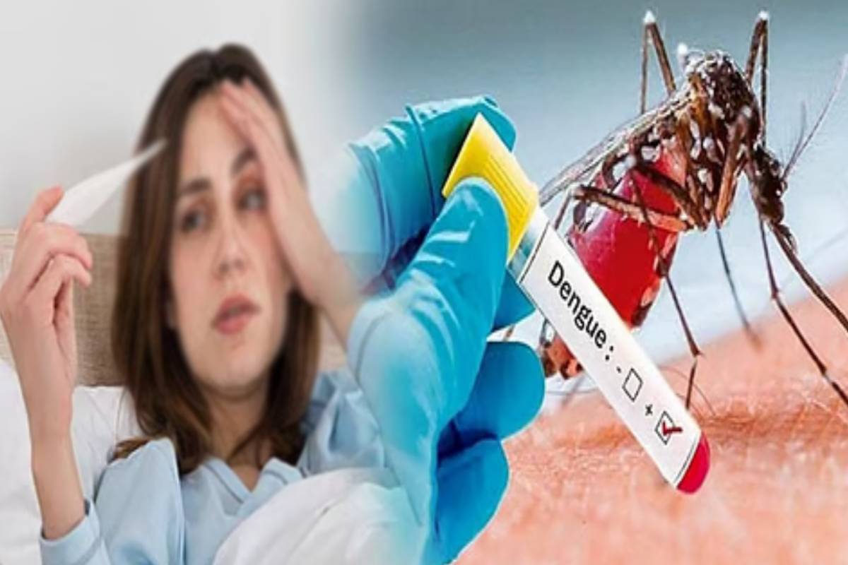 மோசமான நிலை ஏற்படுவதை தடுக்க தீவிர நடவடிக்கை - பொதுமக்களுக்கு விடுக்கப்பட்ட அவசர அறிவுறுத்தல் | Dengu Fever Urgent Warrning People
