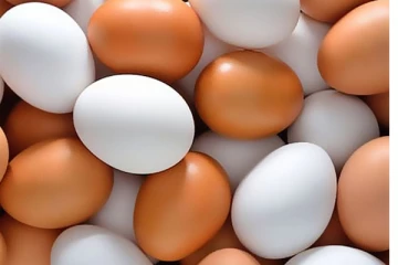 ආනයනික බිත්තර තොගයක බෙදා හැරීම සම්බන්ධයෙන් නිවේදනයක්.