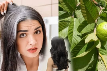 வெள்ளை முடியை கருப்பாக மாற்ற வேண்டுமா? - இந்த ஒரு இலை போதும்