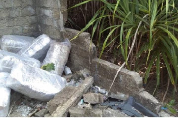 கைவிடப்பட்ட வீடொன்றில் பெருமளவு புகையிலை இலைகள் மீட்பு