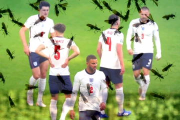 படையெடுத்து வரும் பறக்கும் எறும்புகள்! யூரோ 2020 இறுதிப்போட்டிக்கு இடைஞ்சல்?