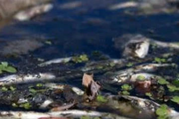 ජලය විස වීමක් - ජනතාවගෙන් විශේෂ ඉල්ලීමක්..