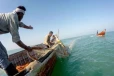 சீரற்ற காலநிலையை சாதகமாக்கும் இந்திய கடற்றொழிலாளர்கள்