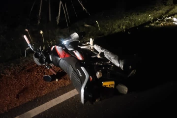 யாழில் வாகனவிபத்துக்குள்ளானதில் இருவர் படுகாயம்