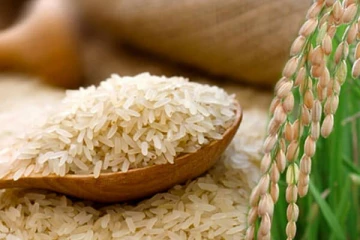 நாட்டில் அரிசியின் விலை 200 ரூபாவை கடக்கும்!