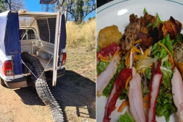 3.63 மீ நீளமுள்ள கொலைகார முதலை - சுட்டுக்கொன்று சமைத்து சாப்பிட்ட பொதுமக்கள்!