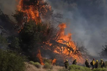 அமெரிக்கா காட்டுத்தீயில் பலியானவர்கள் எண்ணிக்கை 24 ஆக உயர்வு