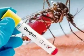 நாட்டின் பல பகுதிகளில்  டெங்கு   தீவிரம்! சிவப்பு எச்சரிக்கை நடைமுறைக்கு வருமா?