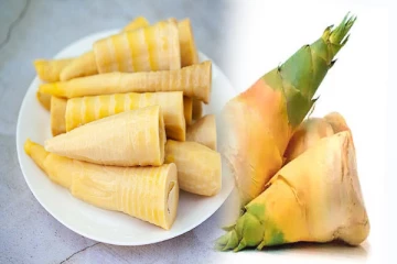 மூங்கில் குருத்து சாப்பிட்டால் உடலுக்கு இவ்ளோ நன்மைகளா? தெரிஞ்சுக்கோங்க