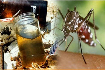 யாழில் டெங்கு கட்டுப்பாட்டு நடவடிக்கை