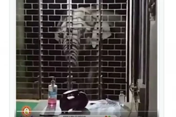 கேரளத்தில் தாய் மற்றும் குட்டி யானை காவல் நிலையத்தை வேட்டையாடும் வீடியோ காட்சிகள் இணையத்தில் வைரல்