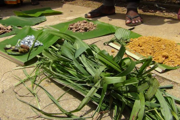 எதிர்காலத்தில் புல் மற்றும் புண்ணாக்கே இலங்கை மக்களுக்கு: கொட்டகலையில் போராட்டம் (Photos) | Grass And Boils For The People Of Sri Lanka Future
