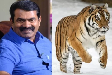 புலிகளைக் காக்க வேண்டியது பேரவசியமாகிறது! சீமான் வெளியிட்ட அறிக்கை