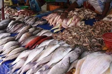 இலங்கையில் மீன்களின் விலை குறித்து வெளியான தகவல்!