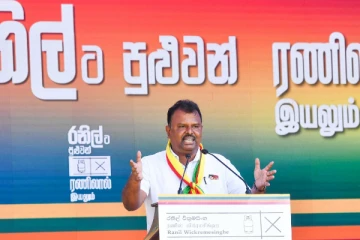 வடக்கு மக்களின் பிரச்சினைகளுக்கு ரணிலால் மட்டுமே தீர்வு வழங்க முடியும்: பரப்புரை கூட்டத்தில் திலீபன் எம்.பி