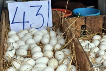 புத்தாண்டில் மகிழ்ச்சி தகவல் : குறைவடையப்போகும் முட்டை விலை