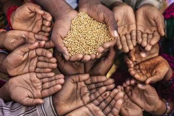 මෙරට ජනතාවගේ ආහාර අනාරක්ෂිත බව ගැන එක්සත් ජාතීන්ගේ සංවිධානයෙන් විශේෂ හෙළිදරව්වක්