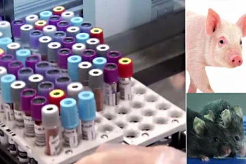 அமெரிக்க ஆய்வாளர்களின் புதிய கண்டுப்பிடிப்பு