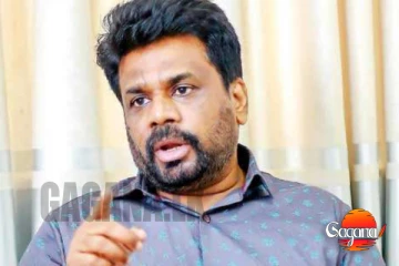 මම ජර්මනියට ආවේ එල්.ටී.ටී.ඊ ප්රබලයෙක් හමුවෙන්නලු.. කතා හදපු අයට ලුණු ඇඹුල් ඇතුව ජනපති දෙසයි