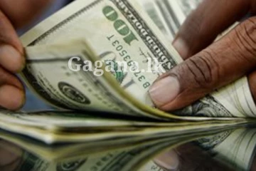 ඩොලරය ගැන මහ බැංකුවෙන් එකවරම දැනුම්දීමක් මෙන්න.. (PHOTO)