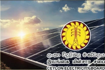 1000 மெகாவோட்டைத் தாண்டியுள்ள இலங்கையின் சூரிய சக்தி மின் உற்பத்தி