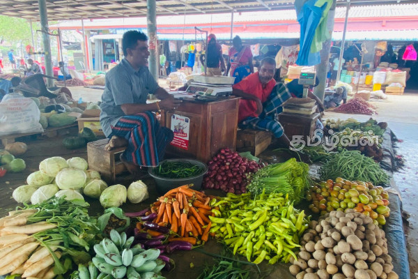மரக்கறி விலை வீழ்ச்சி! யாழ்.வியாபாரிகள் கவலை தெரிவிப்பு(Photos) | Drop In Price Of Vegetable Traders Express Concern