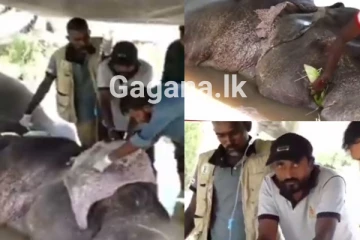 කොච්චර අමාරු ඇතිද.. ජීවිතෙත් අවදානමේ කෑගහලා කියන්න බැරි ගල් ලෑල්ලේ චන්ඩිගේ වේදනාව