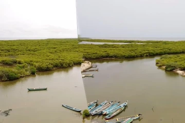 சந்தேகத்தை ஏற்படுத்தியுள்ள விடத்தல் தீவு கண்டல் தாவர காணிகள் விடுவிப்பு