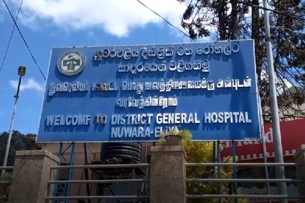 விறகு சேகரிக்கச் சென்ற இளைஞர்கள் மீது குளவிக் கொட்டு | Wasp Stung Youths Who Went To Collect Firewood