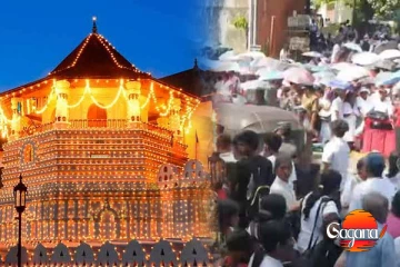 දළදා වන්දනාවට පැමිණෙන අයට ස්ටිකරයක්?