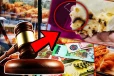 முட்டை ரொட்டியில் இரும்புக் கம்பித் துண்டு..! பிரபல உணவகத்துக்கு எதிராக குற்றச்சாட்டு