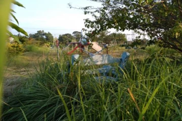 சிறுவர் பூங்காவில் பாம்புகளின் அட்டகாசம்!