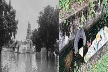 யாழில் பரவும் குற்றச்சாட்டு ; மலக்கழிவால் நிறைந்த வாய்க்கால்!