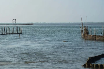 யாழ்ப்பாணத்தில் கடற்தொழிலுக்கு சென்றவருக்கு நேர்ந்த துயரம்
