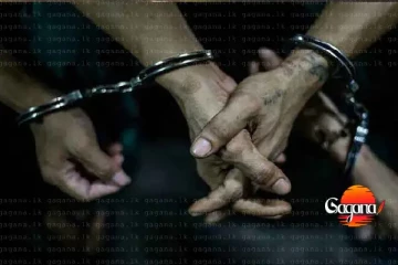 හරක් හොරු පස් දෙනෙක් පොලිසියට කොටු