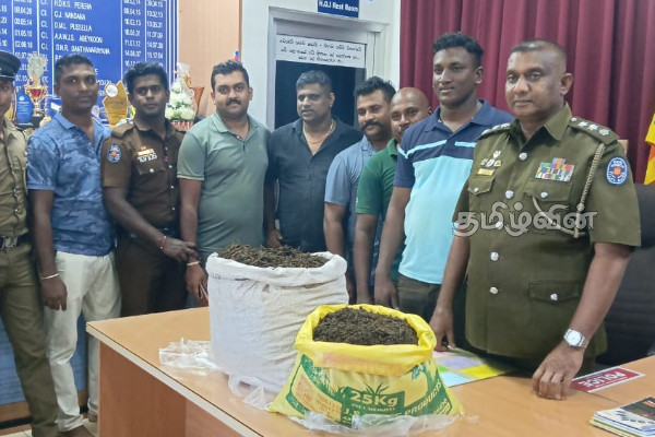 யாழ். பருத்தித்துறையில் பாரியளவு கஞ்சா மீட்பு | Based On Military 28Kg Cannabis Recovered