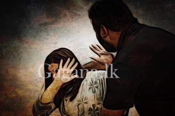 හෝටල් කාමරයකදී තම මව අපයෝජනය කළ නරුම පුතා.