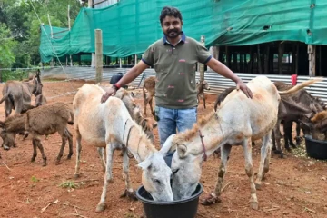 IT வேலையை தூக்கி வீசிட்டு கழுதை வளர்த்து லட்சாதிபதியான பட்டதாரி! ஒரு மாத சம்பளம் எவ்வளவு தெரியுமா?