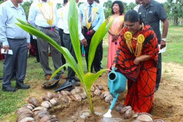 வடக்கில் வெற்றிகரமாக ஆரம்பித்து வைக்கப்பட்ட தென்னை முக்கோணம் (Photos)